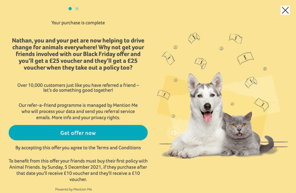 Animal Friends promoting its Black Friday referral offer