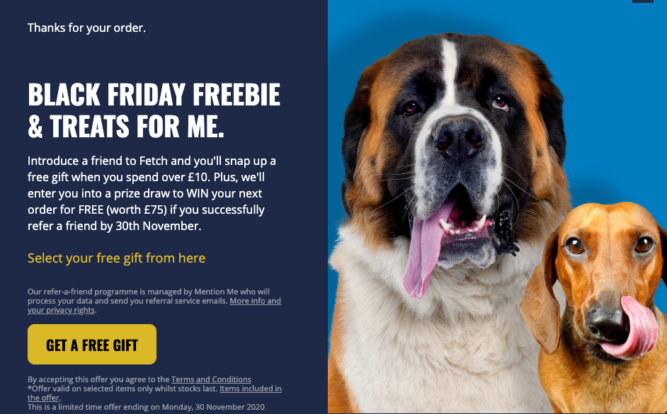 Fetch Black Friday