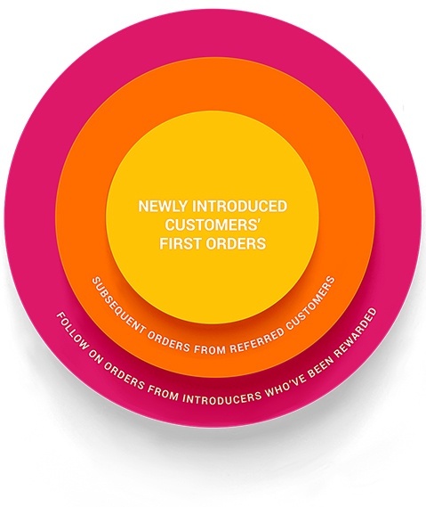 Pie chart showing customer lifetime value